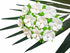 Mini Flowers Mulberry Paper Artificial Craft Scrapbook Wedding Supply Accessory DIY. Small Flower Bouquets, Greeting Cards Decorations. (White)...