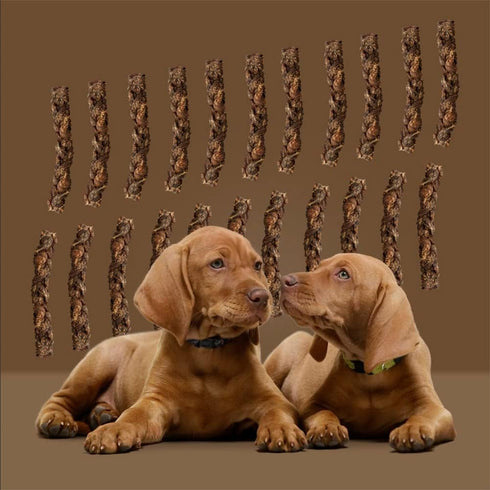 ROAM Pet Treats Ossy Hide – Ostrich Dog Chew Contains 2 Braided Hide Chews...