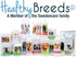 Healthy Breeds Portuguese Podengo Pequeno Ear Cleanse with Aloe Vera Cucumber Melon 8 oz...