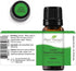 Plant Therapy Lime Steam Distilled Essential Oil 10 mL (1/3 oz) 100% Pure, Undiluted, Therapeutic Grade...