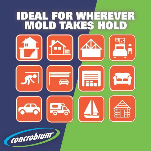 Concrobium Mold Control Aerosol, 14.1 oz – Eliminates & Prevents Mold – EPA Registered, Bleach-Free, Odorless, VOC-Free – For Indoor & Outdoor Sur...