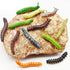 12 Pcs Simulation Caterpillar Fake Worm Crawling Insects Science Educational Learning Toys Halloween Prank Joke Toy Party Favors...
