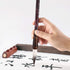 MEGREZ Chinese Calligraphy Brush Kanji Japanese Art Sumi Writing Painting Drawing Practicing Brush for Students and Beginners, Wolf Sheep Mix Brus...
