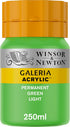 Winsor & Newton Galeria Acrylic Color, 250ml (8.4-oz) bottle, Permanent Green Light...