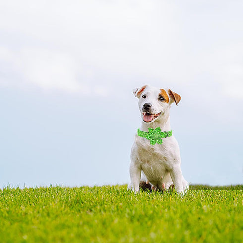 Lionheart glory Green Dog Collar with Flower Dog Collar for Large Dogs, Cucumbers Print Collars Spring Dog Collar Flower Pet Collar Bows Heavy Dut...