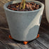 Pot Feet & Risers - 12 PCS of Pot Toes, Sturdy Supports for Your Indoor & Outdoor Planters - Easy to Clean & Durable, Better Drainage & Deck Prote...