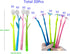 YYaaloa 20PCS Color Changing Rose Flower Pens Novely Fun Gel Ink Pen Bulk for Birthday Party Favors School Classroom Office Girls Presents (20pcs ...
