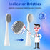 10 Pack Replacement Toothbrush Head Compatible with Burst Electric Toothbrush, YMPBO Toothbrush Heads for Burst Sonic Toothbrush, Deep Cleaning Br...