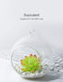 DuHouse Fake Succulents Plants Artificial Potted Faux Plant in Mini Square White Pots for Home Office Bathroom Desk Shelf Decor Set of 4(Green)...