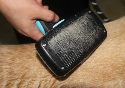 Maxpower Planet Self Cleaning Dog Slicker Brush - Slicker Brush for Dogs - Gently Removes Loose Undercoat, Mats and Tangled Hair for Dogs and Cats...