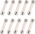 BOJACK Microwave Fuse 20a Ceramic Fuse 20 Amp 250V Slow-Blow Compatible and Universal Replacement for WB27X10388 and Other Microwaves ?Pack of 10?...