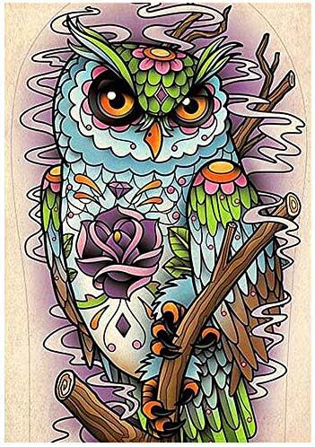 Binbo Animal 5D Diamond Painting – DIY Diamond Painting Kits for Adults and Kids - Full Round Drill Rhinestone Arts, Decorated On Wall for Home (o...
