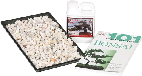 Brussel's Bonsai SPCOMBO1 Success Kit, 8", Blank...