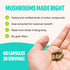 FreshCap Ultimate Mushroom Complex - Lions Mane, Reishi, Cordyceps, Chaga, Turkey Tail, Maitake - Immune Support & Nootropic Brain Supplements for...