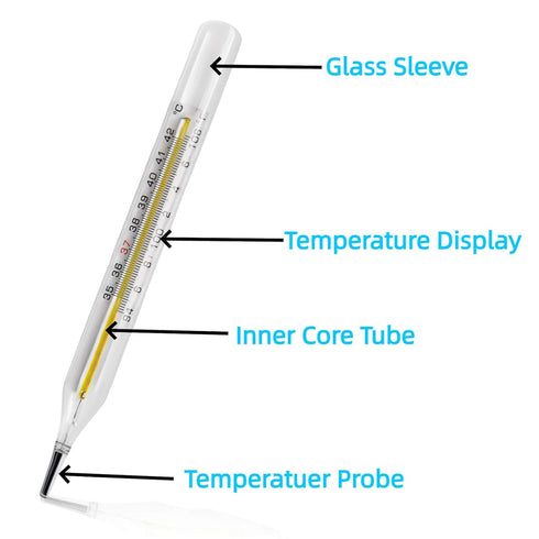 ?&? Clinical Glass Thermometer for Underarm 2PCS - Classic Non Digital Thermometer for Adults - Medical Fever Thermometer - Accurate Easy Reading ...