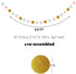 Mint Peach Birthday Party Decorations, Happy Birthday Decoration Set with BDAY Banner Pom Poms Circle Dot Garland and Tassel Garland for Women Gri...