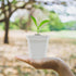 10 Pcs White Plant Nursery Pots with Clear Humidity Dome- 4 inch Plastic Gardening Pot Plant Container- Seed Starting Pot with Drain Holes for See...
