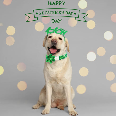 2023 NEW St.Patrick's Day Dog Collar with Flower Tie-Babole Pet, Cute Clover male Dog Collar with Safety Metal Buckle Adjustable Puppy Collars for...