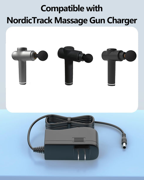 27V Massage Gun?Charger?Replacement for Nordic Track Massage Gun Charger for Nordic Track PulseTech NTPCGN20 Nordic Track Pulse Tech Percussion Th...