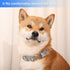 Dog Collar Metal Buckle Pet Collar, Cute Colors Cat Collar, Adjustable Breathable Soft Suitable for Small Medium Large and Boy Girl Dogs (Medium, ...
