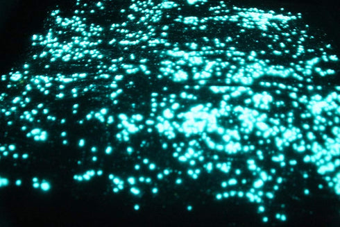 StarMaker Glow in the Dark Extreme FX neutral invisible Large Crystal UV Reactive Paint (Aqua)...