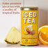 The Republic of Tea – Pineapple Orange Guava Iced Green Tea, 8 Large Quart-Sized Iced Tea Pouches, Naturally Caffeinated...