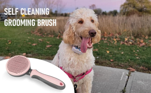 AndroPets - Self-Cleaning Grooming Brush for Dogs and Cats | Removes Loose Undercoat, Mats, and Tangled Hair | Deshedding Tool and Massage Brush (...