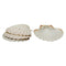 Maine Man Natural Baking Shells, 4-Inches, Set of 4...