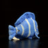 ZHONGXIN MADE Super Cute Tropical Fish Atlantic Plush Toy - 7 inch Simulation Deep Sea Acanthurus Coeruleus Blue Hanging Spiny Fish Stuffed Animal...