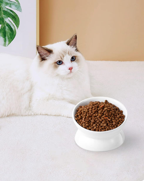Elevated Cat Food Bowl, 5 Oz Ceramic Raised and Tilted Water Bowl, Anti Vomiting and Protect Pets' Spines Dishes for Small Dog, Fat Faced Cat, Kit...