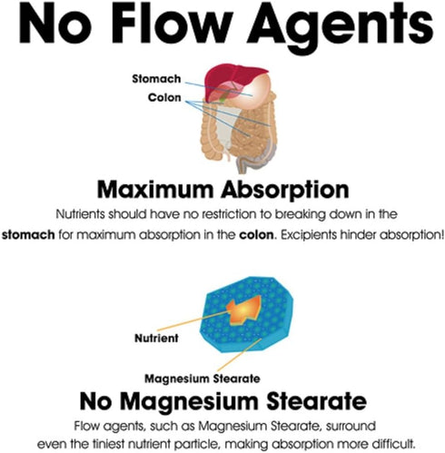 Dr Clark Store Rose HIPS Supplement, 500 MG, 100 Gelatin Capsules...
