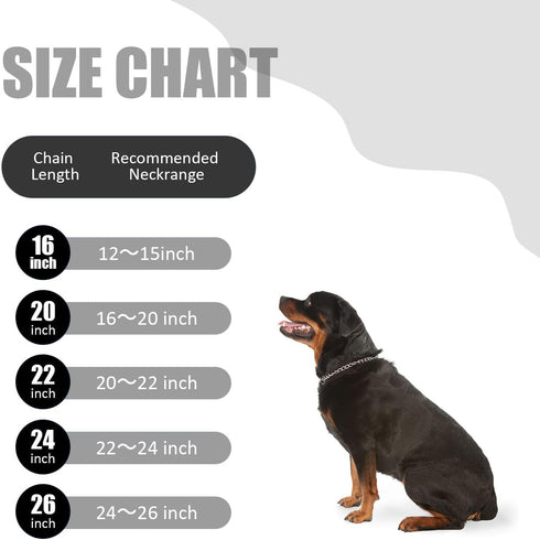 WePet Dog Chain Collar, Metal Slip Collar, Heavy Duty Choke Collar, for Training, Control, Durable Steel Cuban Links, Avail, Gold, M...