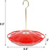 Juegoal 16 oz Hanging Hummingbird Feeder (16 oz)...