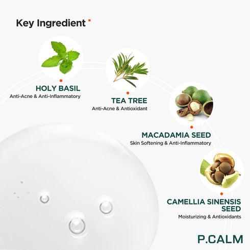 P.CALM UnderPore Holy Basil Cleansing Oil 6.42 fl.oz | Instant Blackhead Reducing Non-Comedogenic Pore Control Cleansing Oil with Holy Basil Extra...
