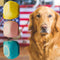 New 2024 Pet grooming Bath Brush, Scrubber Shampoo Dispenser, Shower Brush for Washing Short and Long Hair Dogs and Cats Pet Bath Massage Brush (Y...