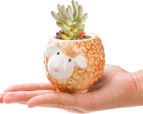 6 Pack Succulent Pots, 3 Inch Small Ceramic Flower Planter Pot, Cute Animal Plant Holder Container with Drainage Hole and Bamboo Tray for Cactus, ...