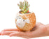 6 Pack Succulent Pots, 3 Inch Small Ceramic Flower Planter Pot, Cute Animal Plant Holder Container with Drainage Hole and Bamboo Tray for Cactus, ...