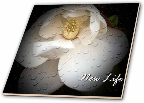 3dRose ct_30606_5 New Life Magnolia New Life-Glass Tile, 4-Inch...