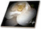 3dRose ct_30606_5 New Life Magnolia New Life-Glass Tile, 4-Inch...