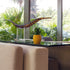 Artificial Succulent Potted Pineapple Decor - Fake Pineapple Home Office Kitchen Table Decoration (Yellow)...
