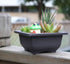8PCS/Pack Retro Style Square Small Bonsai Training Pots with Tray, Mini Plastic Mocha Garden Flower Pot 4.7"...