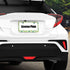 Delerain Green Avocados License Plate Frame, Car Tag Cover Stainless Steel Metal Aluminum Frame for US Standard 2 Flat Holes (Set of 2)...