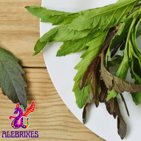 Alebrixes - Epazote 4 oz (113 G) | Dried Epazote Leaves - Hoja de Epazote Aromatica | 100% natural - Resealable bag | Imported from Mexico...
