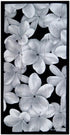 KC Hawaii Aloha Pua Beach Towel 30" X 60"...