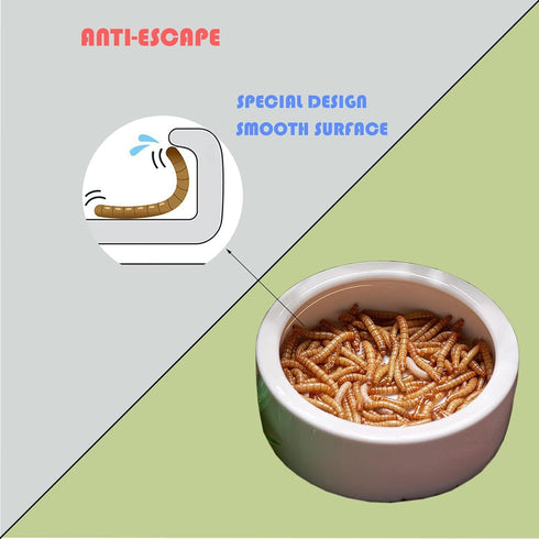Reptile Food Dish, Escape Proof Water bowl, Ceramic Feeding Dish for Lizard,Leopard Gecko, Bearded Dragon, Hermit Crab...