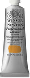 Winsor & Newton Professional Acrylic Paint, 60ml (2-oz) Tube, Raw Sienna...