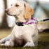 Martingale Dog Collars,Adjustable Soft Nylon Slip Collar Quick Release Buckle,No Pull Dog Training Collar for Large Medium Small Dogs...