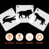 12 Pieces Animal Stencils Plastic Drawing Stencil Reusable Animal Template for DIY Crafts Painting Drawing...