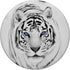 White Tiger Blue Eyes Cute Big Wild Cat Animal Gift Idea PopSockets PopGrip: Swappable Grip for Phones & Tablets PopSockets Adhesive PopGrip...