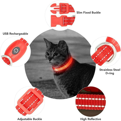 Light up Dog Collar for Small Dog,Vizpet XS Adjustable Size Nylon Collar USB Rechargeable Bright Safety Pet Collar for Cats Dogs (Red?XS)...